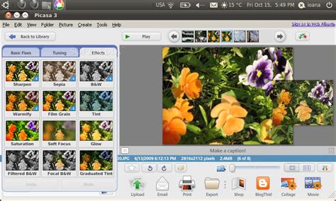 Google Picasa 3.0 Lightweight for Completely Access